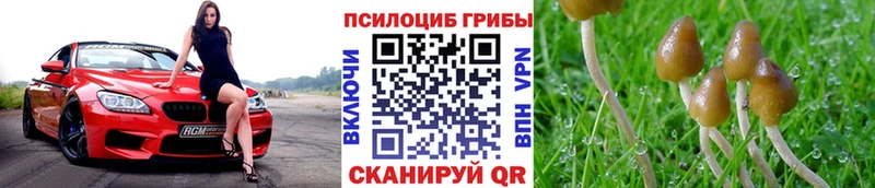 Галлюциногенные грибы Psilocybine cubensis  Купить  Кыштым 